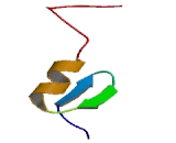 Phospholipid Scramblase 1 (PLSCR1)