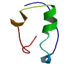 Placenta Specific Protein 9 (PLAC9)