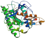 Platelet Activating Factor Acetylhydrolase 2 (PAFAH2)