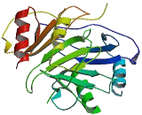 Platelet Factor 4 (PF4)