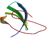 Pleckstrin Homology Domain Containing Family G, Member 5 (PLEKHG5)