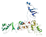 Poly ADP Ribose Glycohydrolase (PARG)