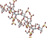Polysaccharide K (PSK)