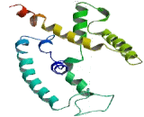 Potassium Chloride Cotransporters 4 (KCC4)