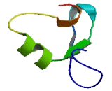 Praja Ring Finger Protein 2 (PJA2)