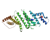 Programmed Cell Death Protein 6 Interacting Protein (PDCD6IP)