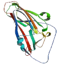 Proline/Serine Rich Coiled Coil protein 1 (PSRC1)