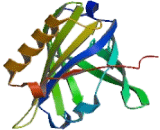 Prostaglandin-H2 D-isomerase (PTGDS)