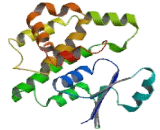 Prostaglandin D2 Synthase (PTGDS)