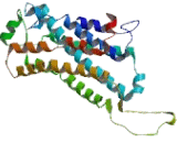 Prostaglandin E Receptor 2 (EP2)