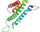 Prostaglandin E Synthase, Microsomal (PTGES)