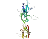 Prostaglandin F2 Receptor Negative Regulator (PTGFRN)