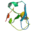 Proteasome 26S Subunit, Non ATPase 9 (PSMD9)