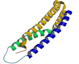 Proteasome Activator Subunit 2 (PSME2)