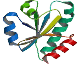 Protein Disulfide Isomerase A4 (PDIA4)