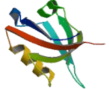 Protein Interacting With C Kinase 1 (PICK1)