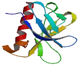 Protein Kinase D3 (PKD3)
