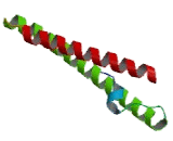 Protein Kinase N1 (PKN1)