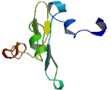 Protein Phosphatase 1, Regulatory Subunit 11 (PPP1R11)