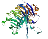 Protein Phosphatase 2, Regulatory Subunit B Delta (PPP2R2d)