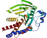 Protein Tyrosine Phosphatase Receptor Type N2 (PTPRN2)