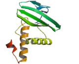 Protein Tyrosine Phosphatase Receptor Type Q (PTPRQ)