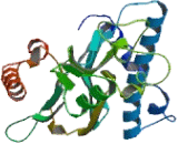 Pyruvate Dehydrogenase Phosphatase (PDP)