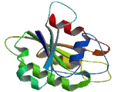 RAB24, Member RAS Oncogene Family (RAB24)