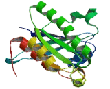 RAB28, Member RAS Oncogene Family (RAB28)
