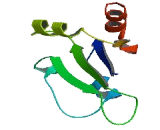 RAB32, Member RAS Oncogene Family (RAB32)