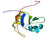 RNA Binding Motif Protein 3 (RBM3)