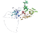 RNA Polymerase I, DNA Directed Polypeptide A (POLR1A)