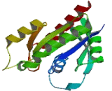 Ras Like, Estrogen Regulated, Growth Inhibitor (RERG)