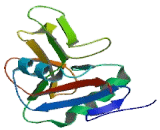 Regenerating Islet Derived Protein 3 Alpha (REG3a)