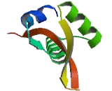 Regulatory Factor X 8 (RFX8)