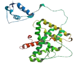 Retinoid X Receptor Alpha (RXRa)