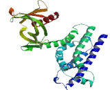 Rho Guanine Nucleotide Exchange Factor 25 (ARHGEF25)