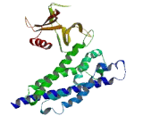 Rho Guanine Nucleotide Exchange Factor 33 (ARHGEF33)