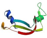 Ribonuclease A9 (RNASE9)