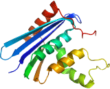 Ribonuclease H (RNASEH)