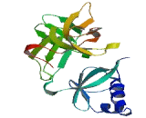 Ribosomal Protein S4, Y-Linked 1 (RPS4Y1)