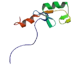 Ring Finger Protein 113B (RN<b>F113</b>B)