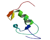 Ring Finger Protein 165 (RN<b>F165</b>)