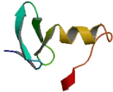 Ring Finger Protein 182 (RNF182)