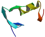 Ring Finger And CCCH-Type Zinc Finger Domains Protein 1 (RC3H1)