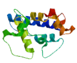 RUN Domain And Cysteine Rich Domain Containing, Beclin 1 Interacting Protein (Rubicon)