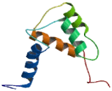 S100 Calcium Binding Protein A13 (S100A13)