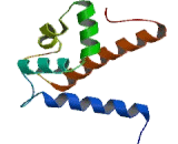 S100 Calcium Binding Protein A7 (S100A7)