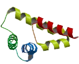 SCAN Domain Containing Protein 3 (SCAND3)