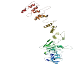 Selenoprotein O (SELO)